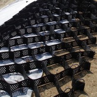 Георешетка Геокаркас ПГ 20.7.5 